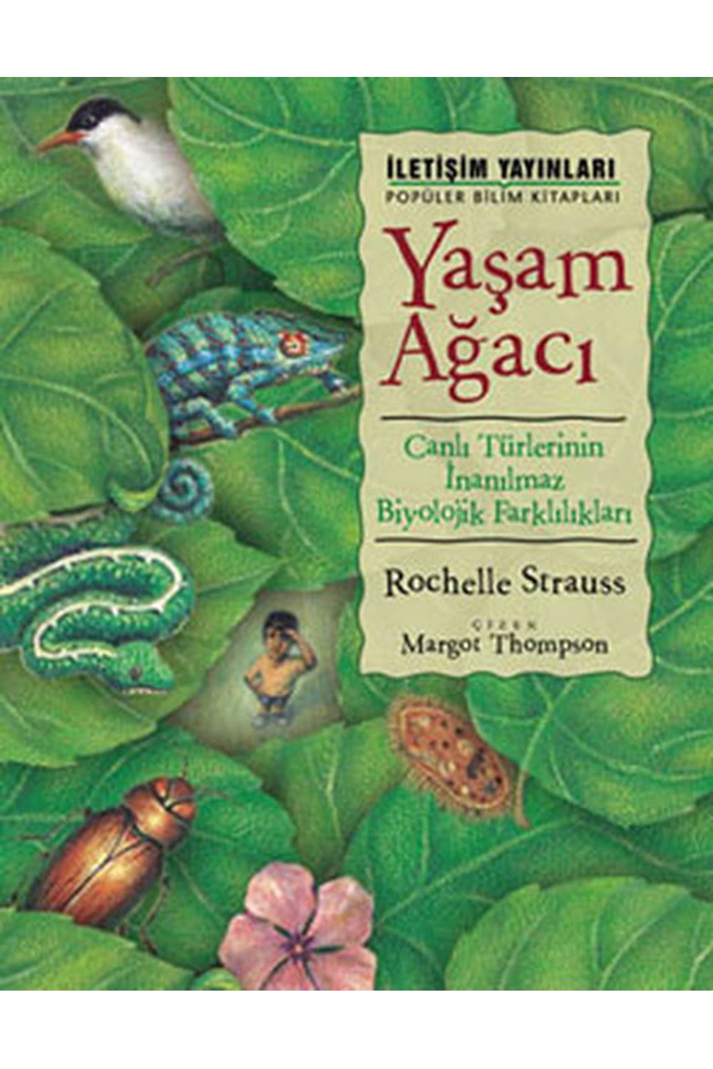 Yaşam Ağacı Canlı Türlerinin İnanılmaz Biyolojik Farklılıkları