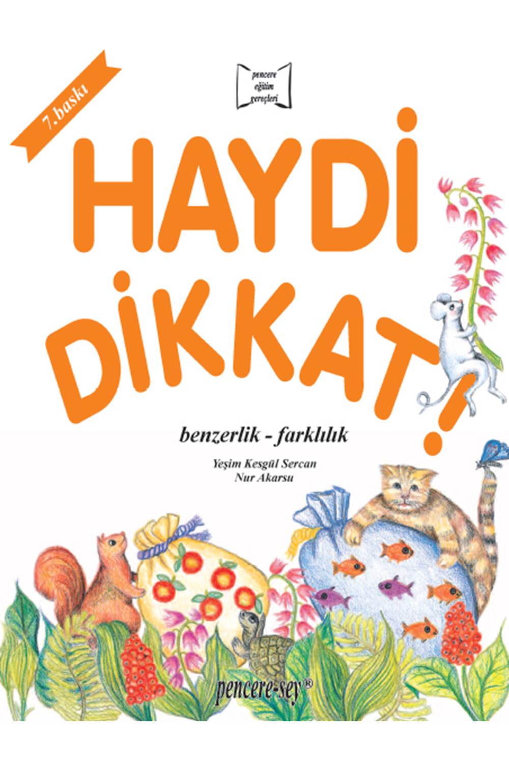 Haydi Dikkat Benzerlik Farklılık