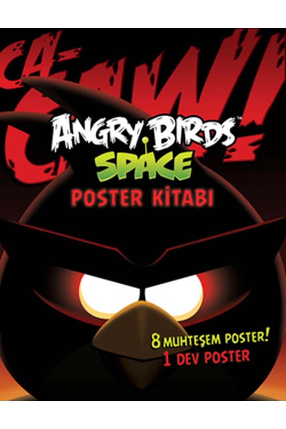Angry Birds Space Poster Kitabı