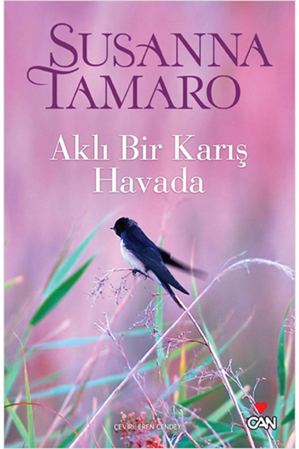 Aklı Bir Karış Havada
