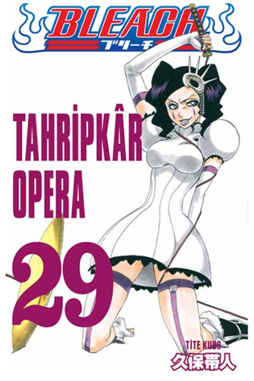 Bleach 29. Cilt