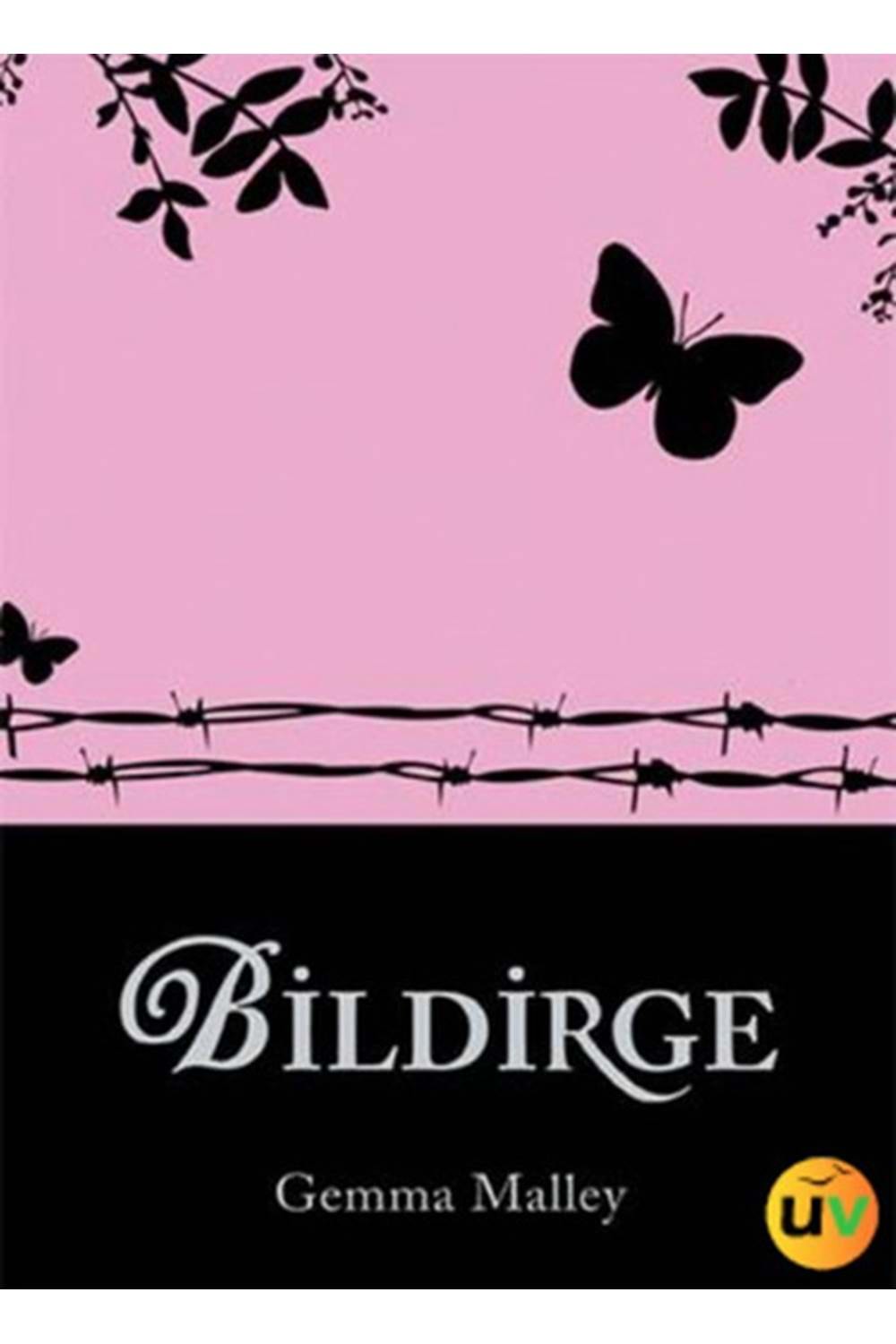 Bildirge