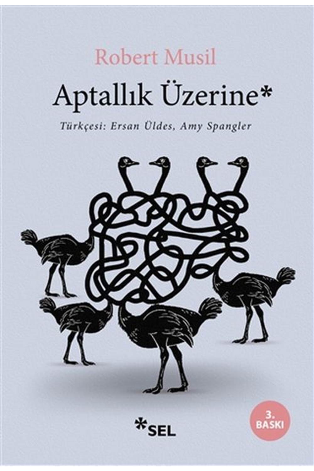 Aptallık Üzerine
