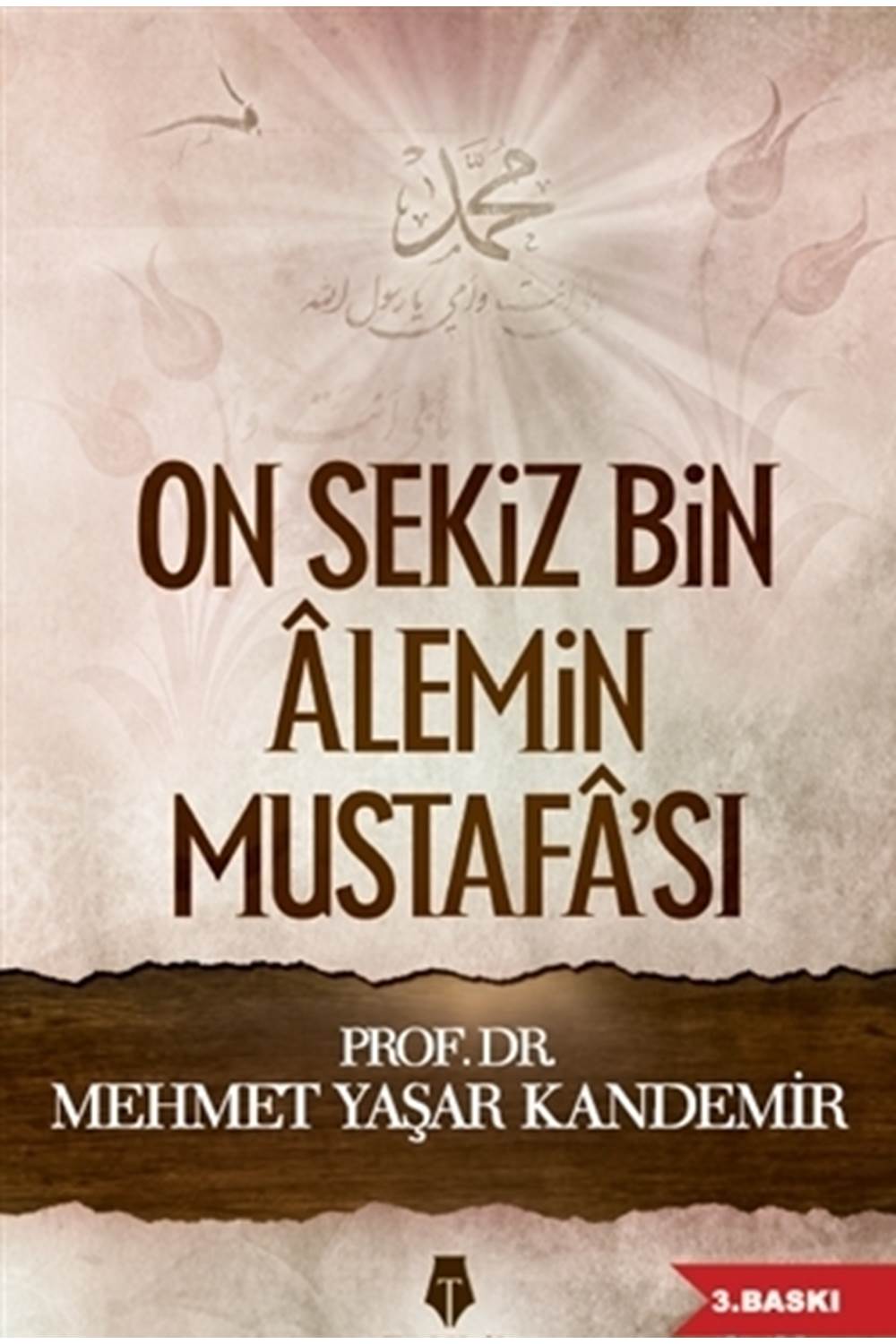 On Sekiz Bin Alemin Mustafa'sı