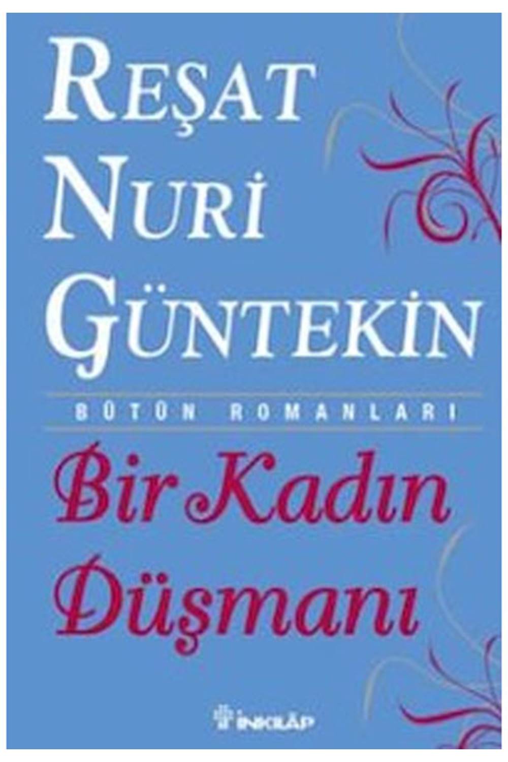 Bir Kadın Düşmanı