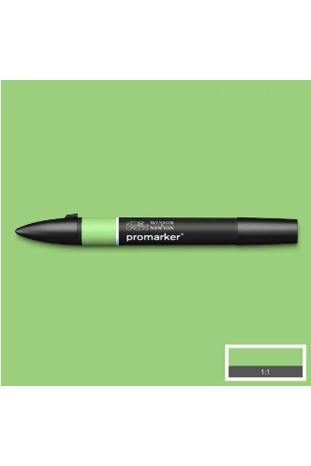 Winsor & Newton Promarker Apple 210 (G338)