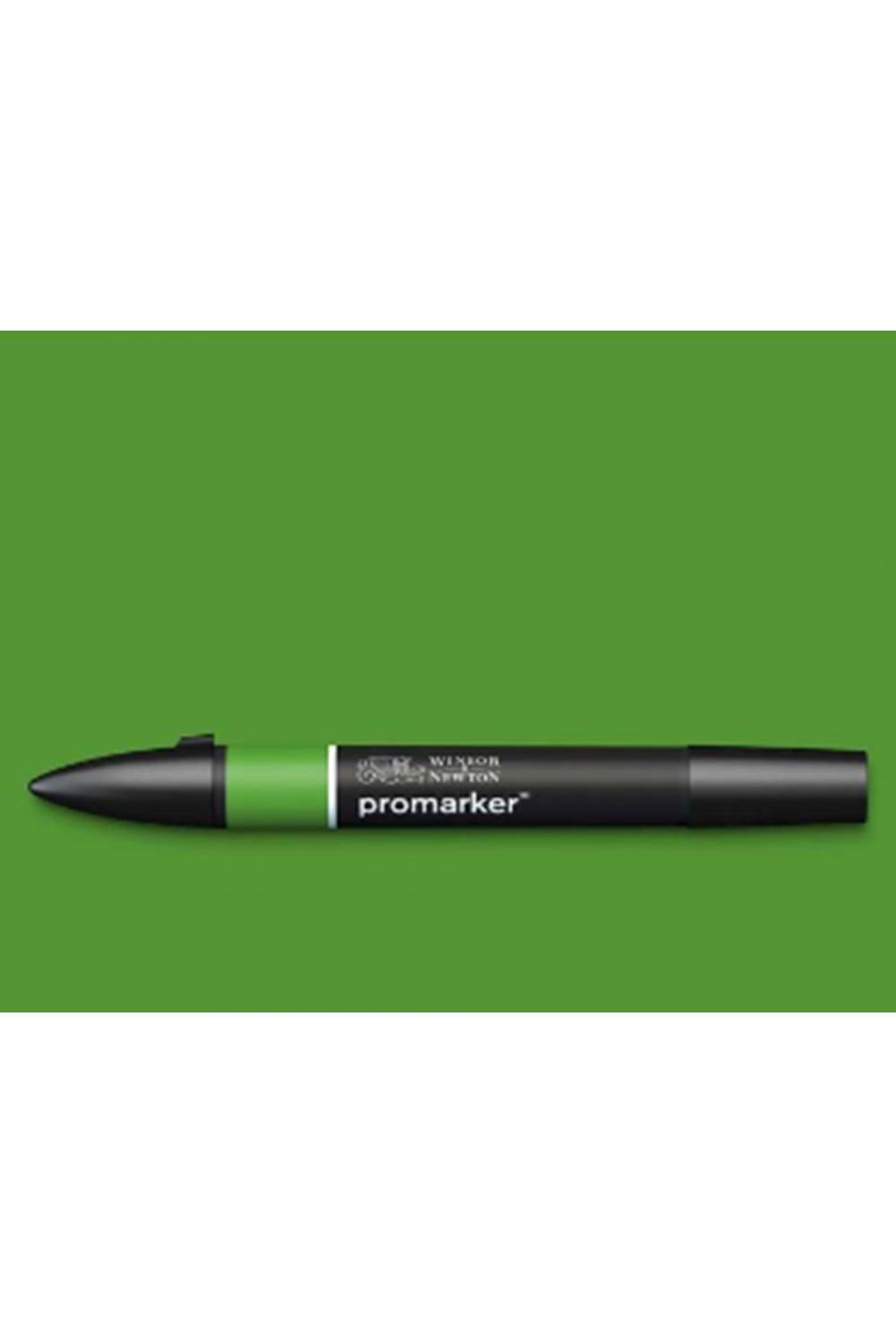 Winsor & Newton Promarker Forest Green 068 (G356)