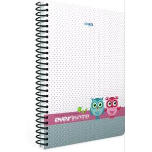 EVERNOTE SP. A4 100 YP. ÇİZGİLİ DEFTER