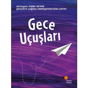 Gece Uçuşları