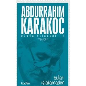 Bütün Şiirleri 3 : Suları Islatamadım