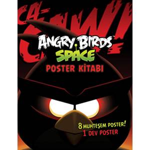 Angry Birds Space Poster Kitabı