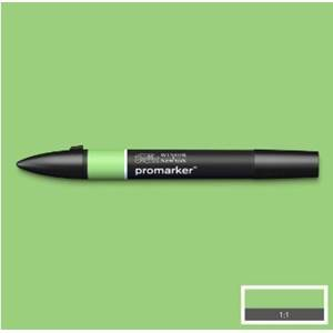 Winsor & Newton Promarker Apple 210 (G338)