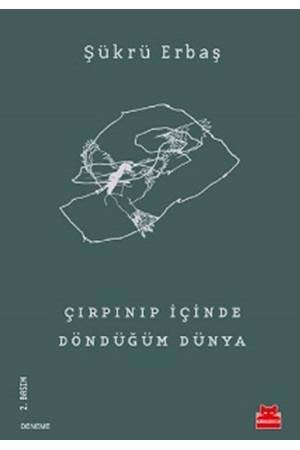 Çırpınıp İçinde Döndüğüm Dünya