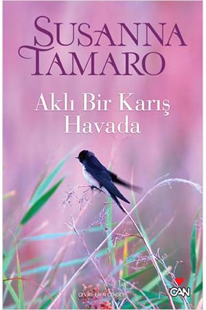 Aklı Bir Karış Havada