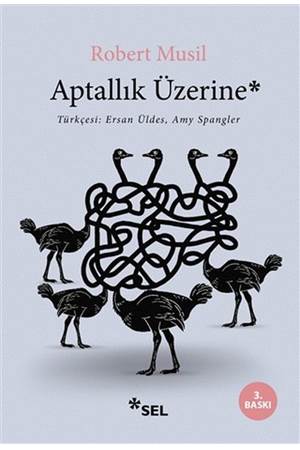 Aptallık Üzerine