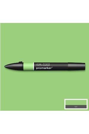 Winsor & Newton Promarker Apple 210 (G338)