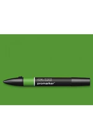 Winsor & Newton Promarker Forest Green 068 (G356)