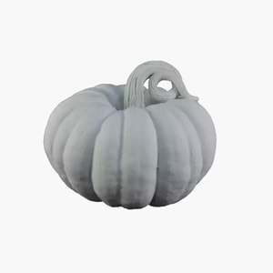 Polyester Obje Kabak 2 Numara HB109