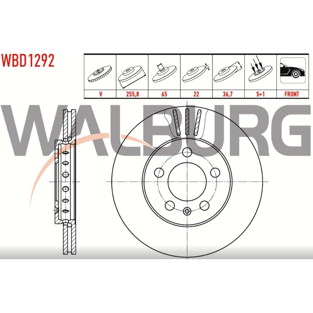 Fren Diski Vw Golf 4, Seat, Audi A3 Ön - 256 MM - WALBURG