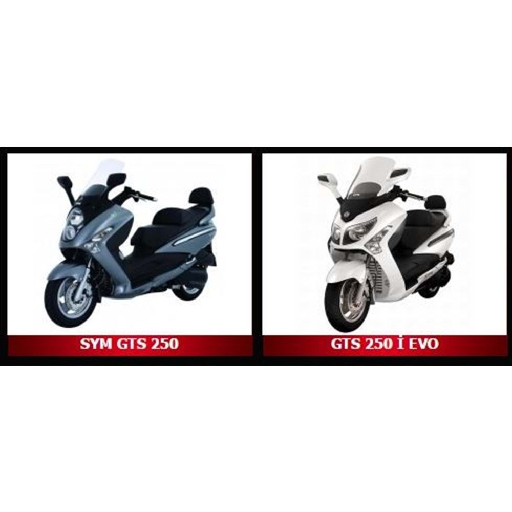 924x24.4 VARYATÖR KAYIŞI GTS250 JOYMAX250 (2005-2012)