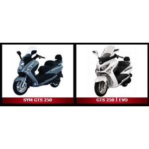 924x24.4 VARYATÖR KAYIŞI GTS250 JOYMAX250 (2005-2012)