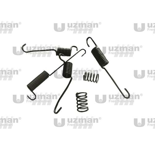 Fren Papuç Çivi Yay Takımı Hyundai H100 Kamyonet 2600 97-04 Sağ-Sol Tk
